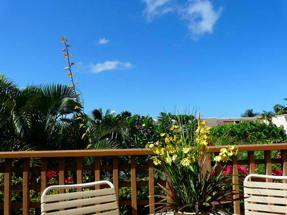 Wailea Condo 969143