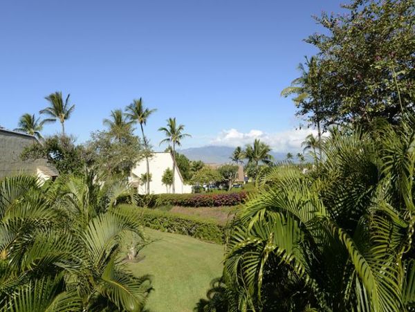 Wailea Condo 969144