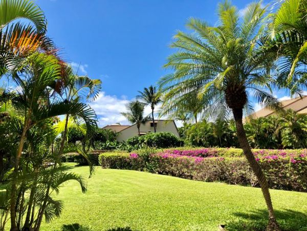 Wailea Condo 969146
