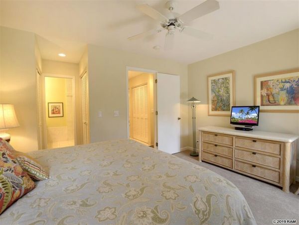 Wailea Condo 969147