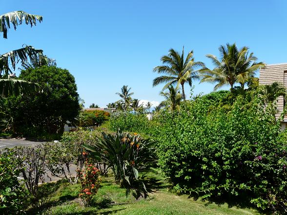 Wailea Condo 969149