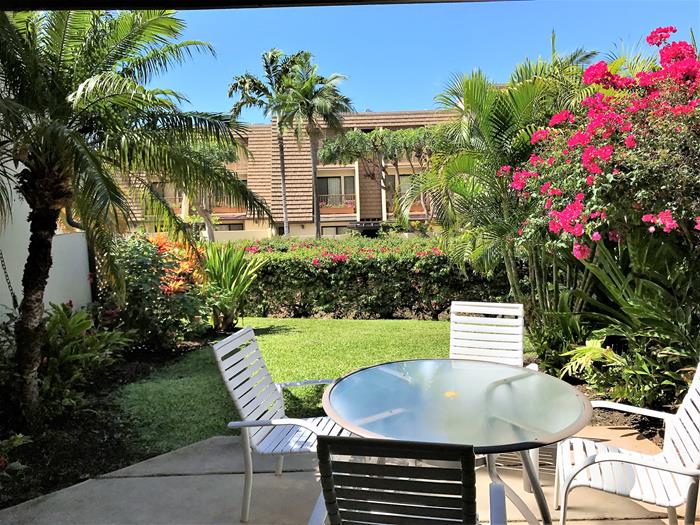 Wailea Condo 969150