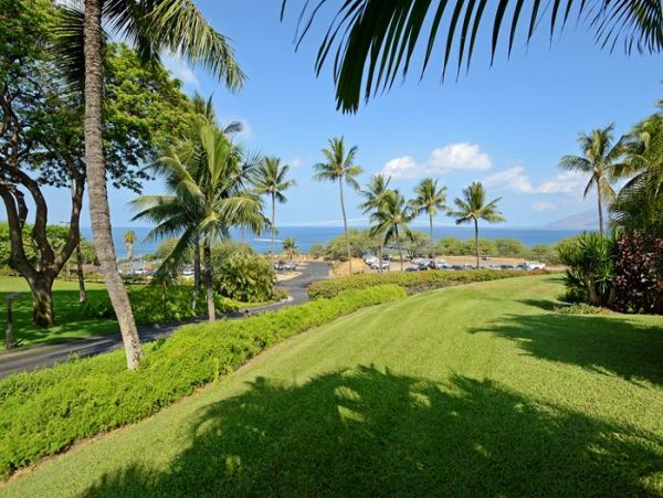 Wailea Condo 969153