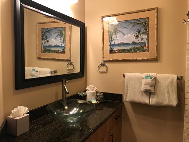 Wailea Condo 969154