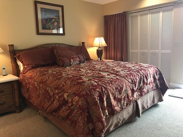 Wailea Condo 969154