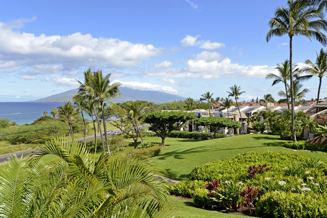 Wailea Condo 969156