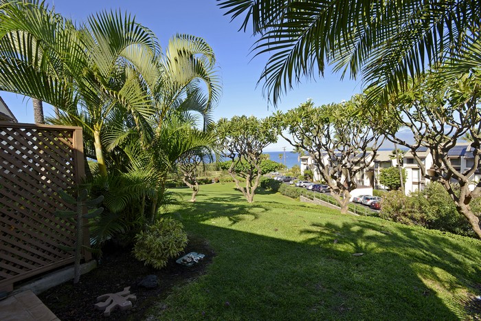 Wailea Condo 969160