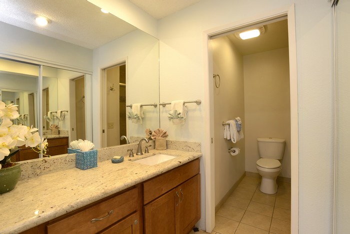 Wailea Condo 969160