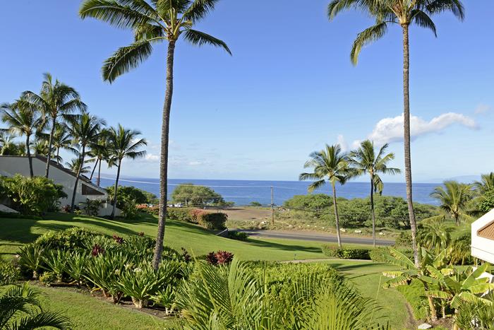 Wailea Condo 969163
