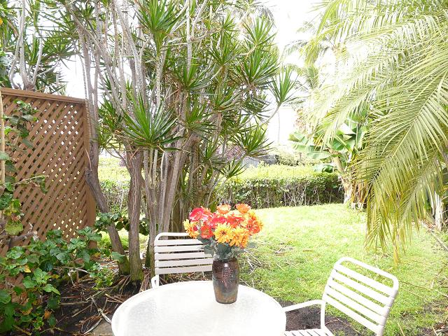 Wailea Condo 969164