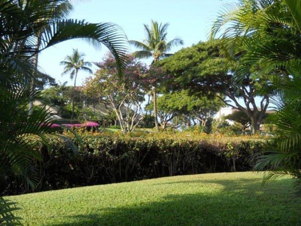 Wailea Condo 969165