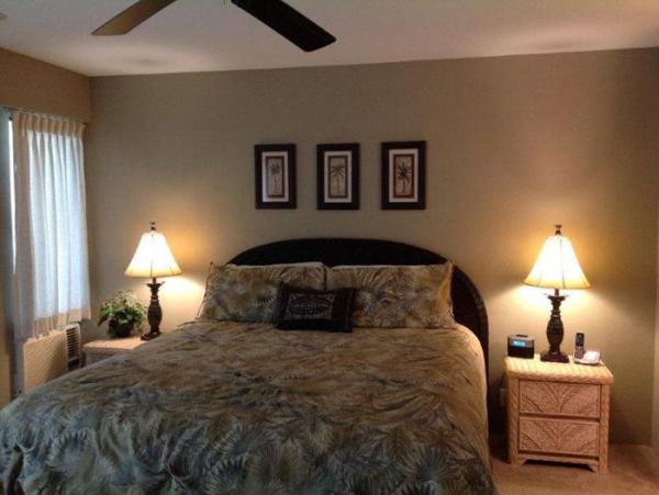 Wailea Condo 969165