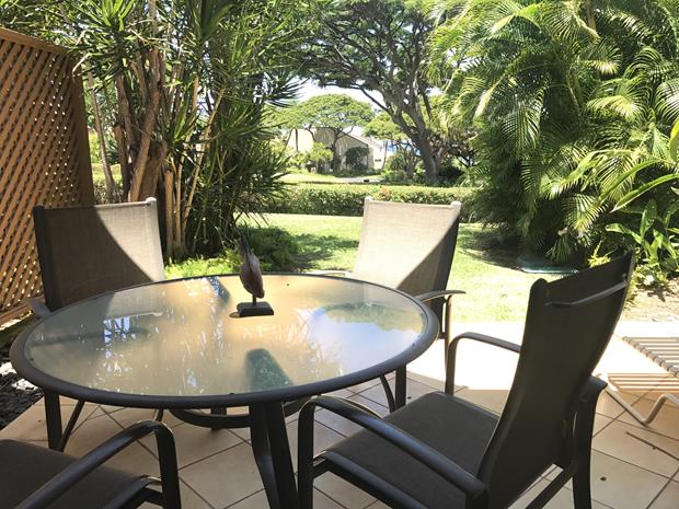 Wailea Condo 969166