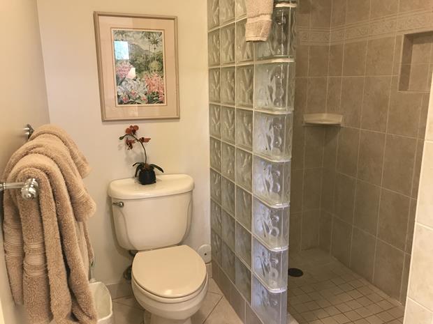 Wailea Condo 969166