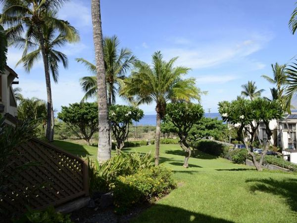 Wailea Condo 969167
