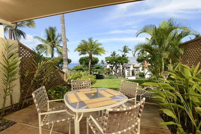 Wailea Condo 969167