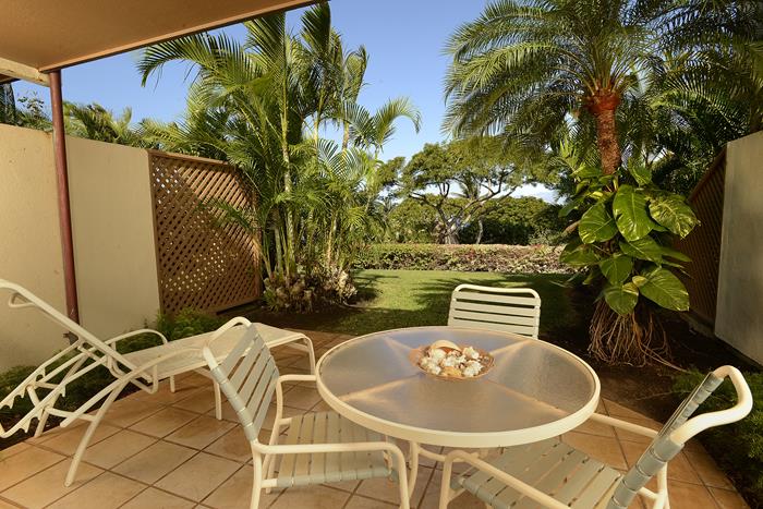 Wailea Condo 969169