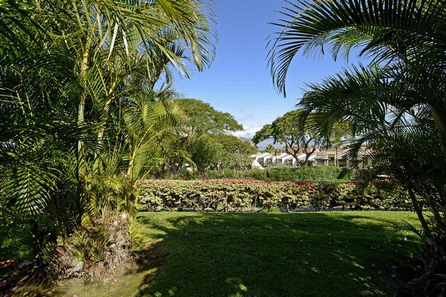 Wailea Condo 969170