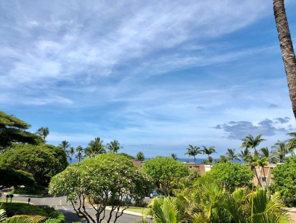 Wailea Condo 969171
