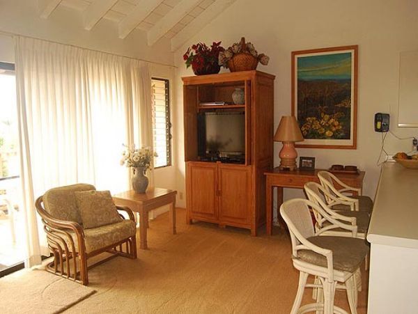Wailea Condo 969171