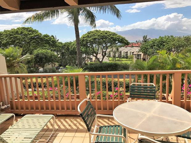 Wailea Condo 969173