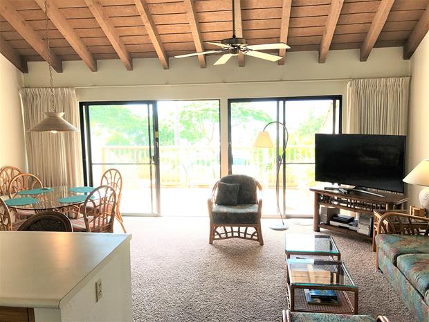 Wailea Condo 969173
