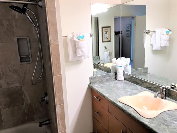 Wailea Condo 969173