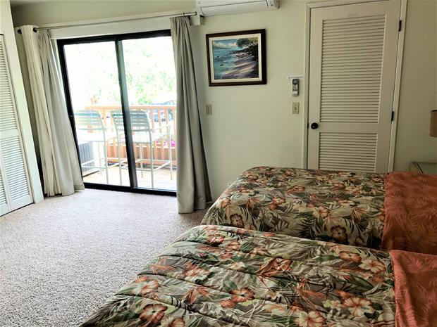 Wailea Condo 969173