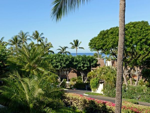 Wailea Condo 969174