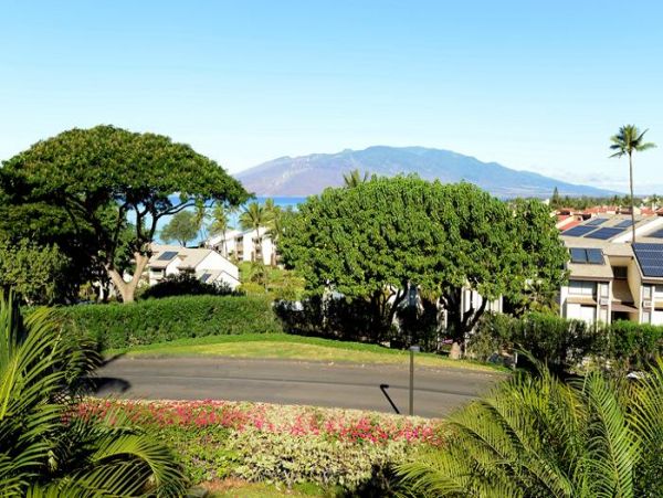 Wailea Condo 969174