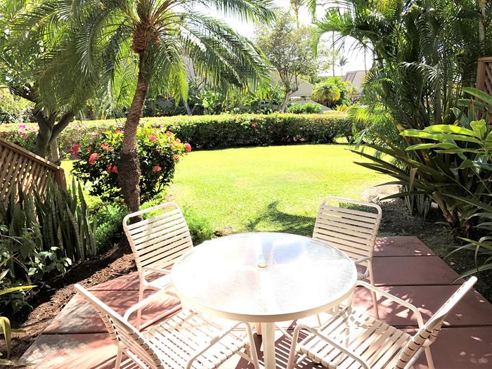 Wailea Condo 969176