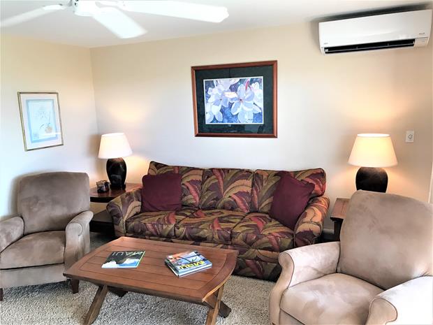 Wailea Condo 969177