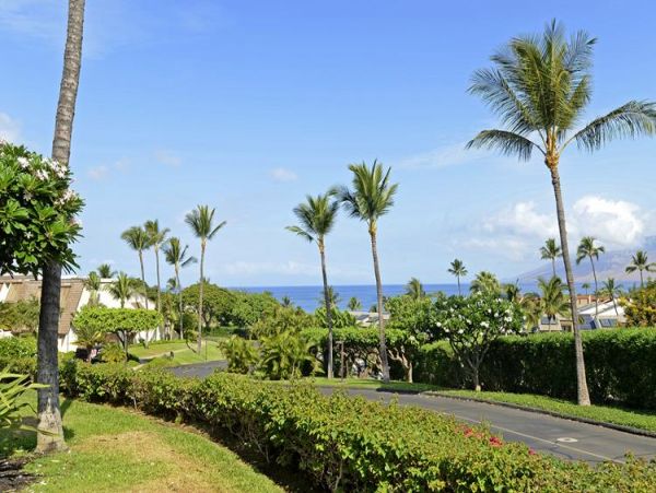 Wailea Condo 969178