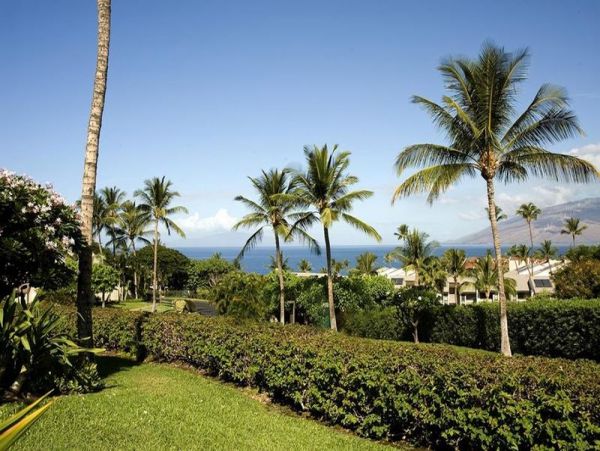 Wailea Condo 969179