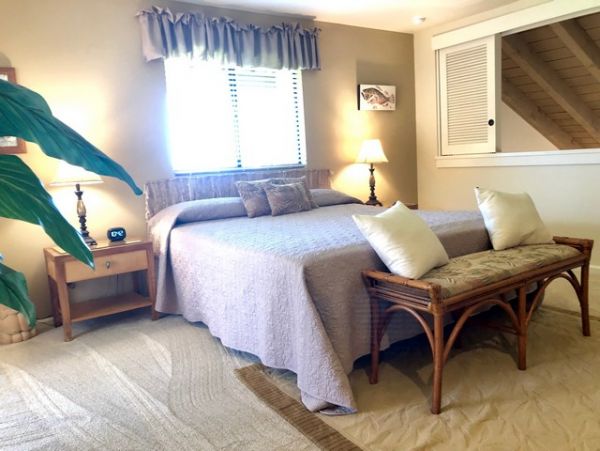 Wailea Condo 969181