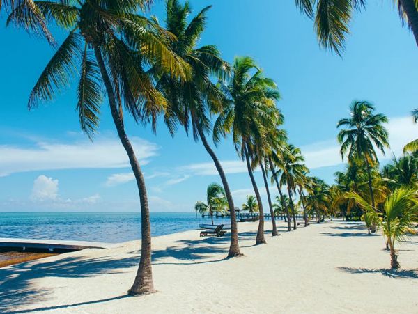 Oceanview Islamorada Vacation Home Three Bedrooms