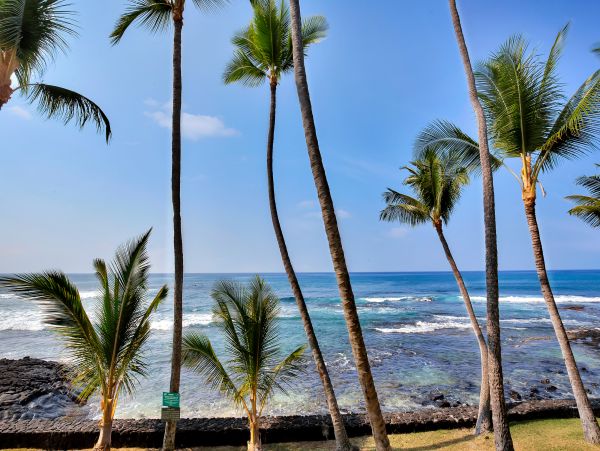 Kailua Kona Condo 969388