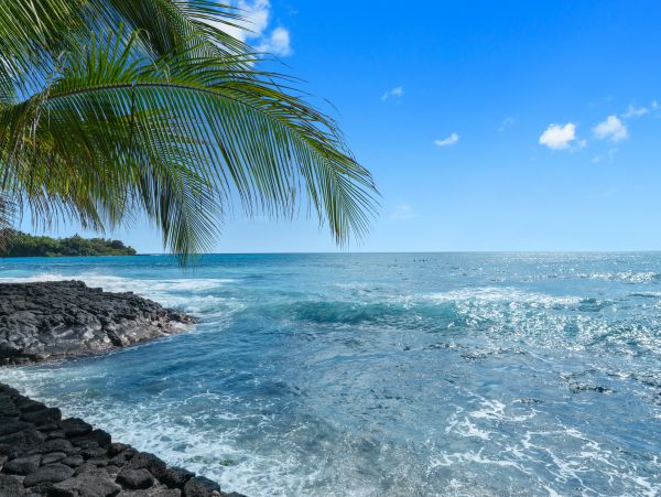 Kailua Kona Condo 969401