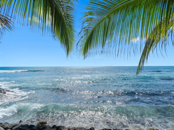 Kailua Kona Condo 969408