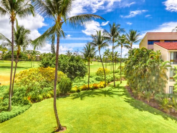 Kailua Kona Condo 969411