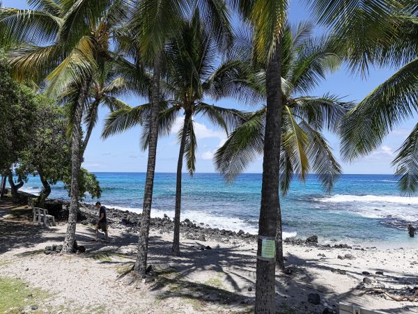 Kailua Kona Condo 969413