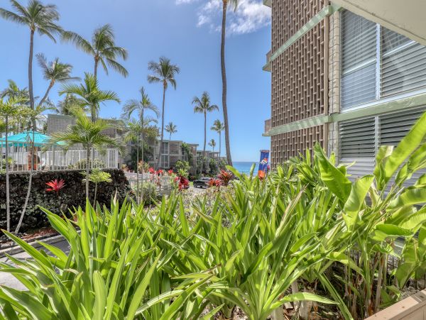 Kailua Kona Condo 969414