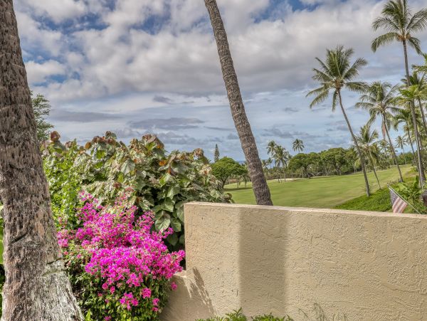 Kailua Kona Condo 969418