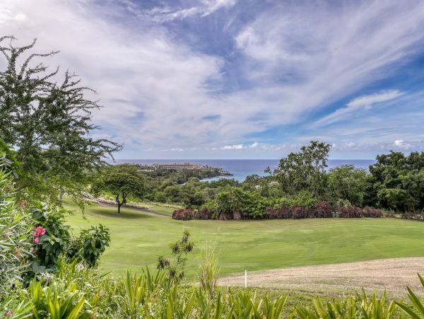 Kailua Kona Condo 969418