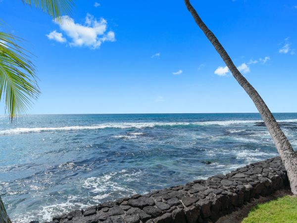 Kailua Kona Condo 969421