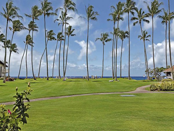 Koloapoipu Condo 969434