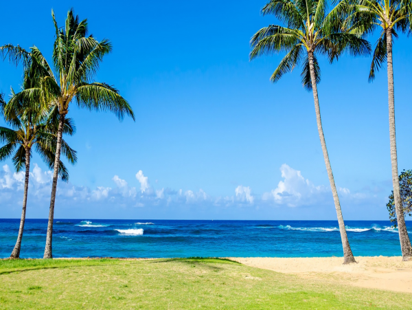 Discover Paradise in this Vacation Rental in Poipu
