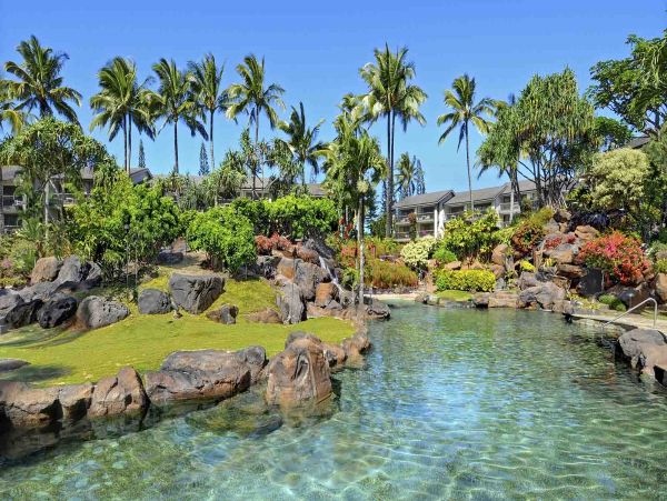 Princeville Condo 969477