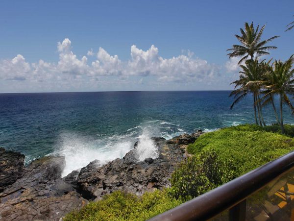 Gorgeous Oceanfront Property in Poipu