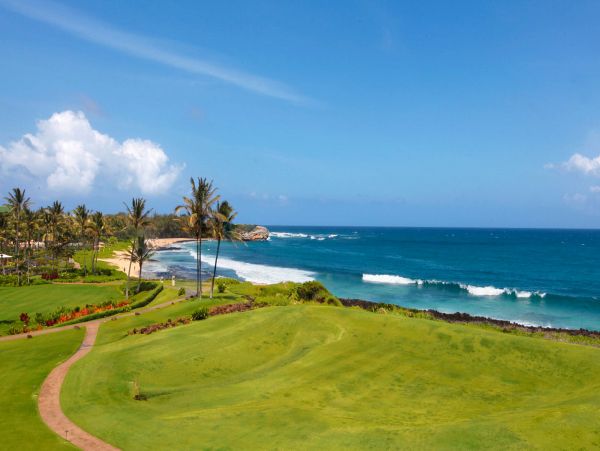 Princeville Condo 969508